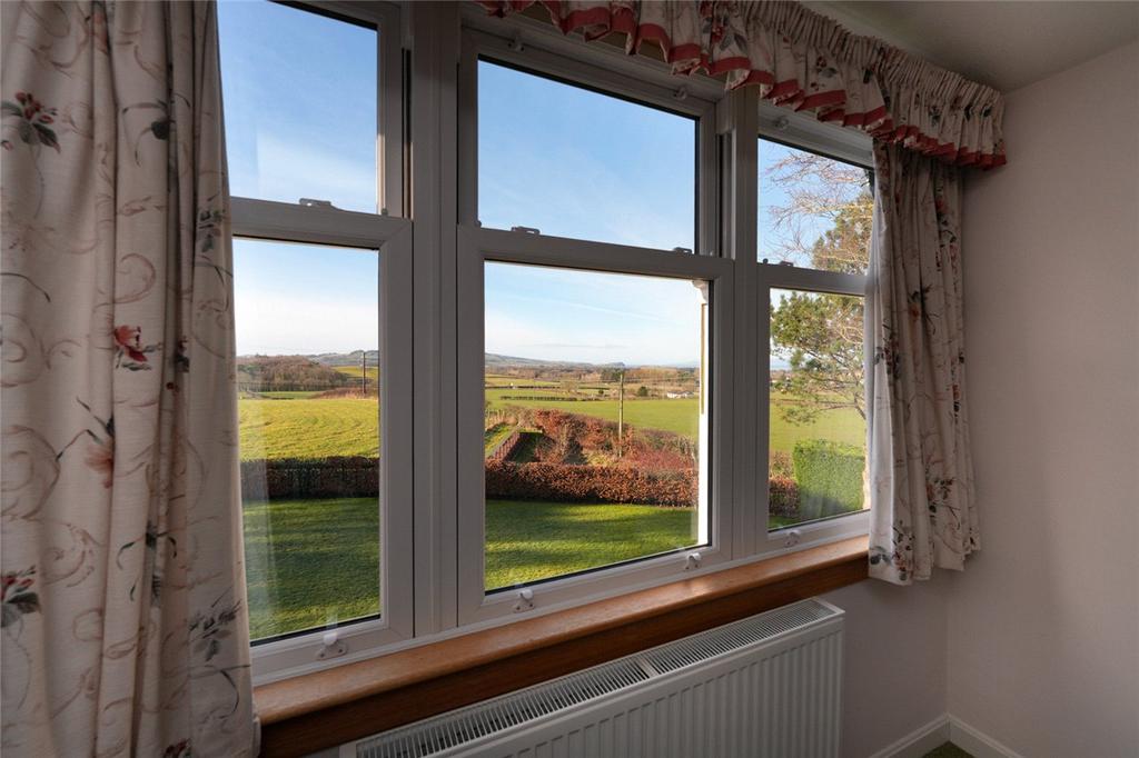 View From Bedroom