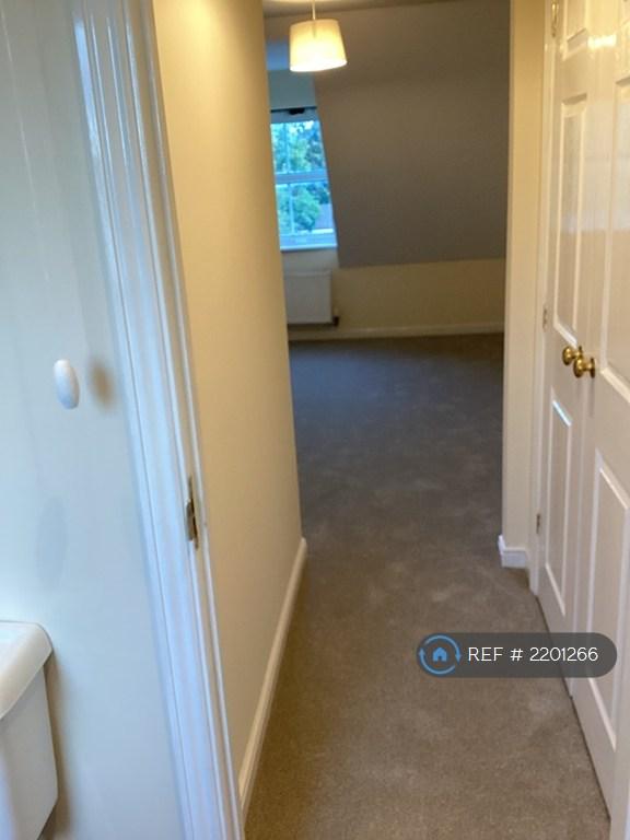 Master Dressing Area