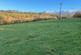 Yelverton