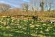 Yelverton photo 2