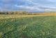 Yelverton photo 4