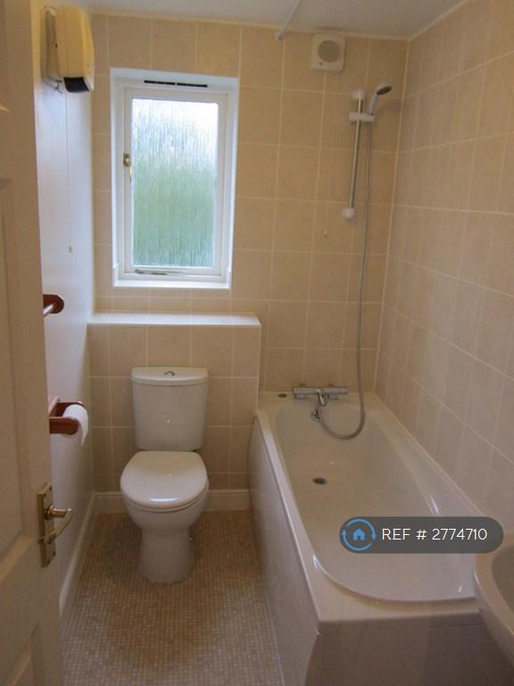 Full Power Shower &amp; Window