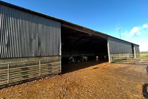 undefined, Chedington, Beaminster, Dorset, DT8