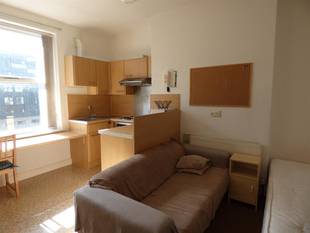 Kitchen/Living/Bedroom Area