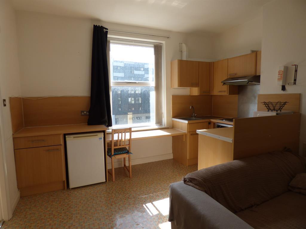 Kitchen/Living/Bedroom Area
