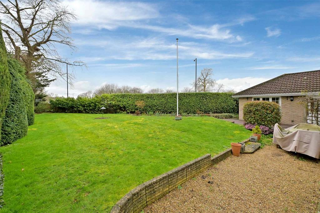 Rear Gardens