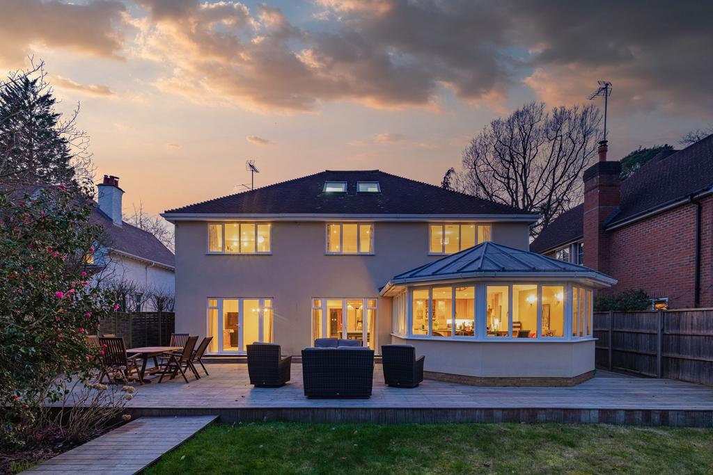 Dusk rear