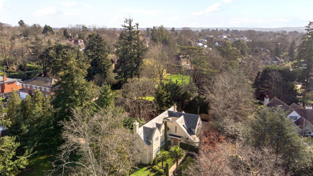 Elevated Photos