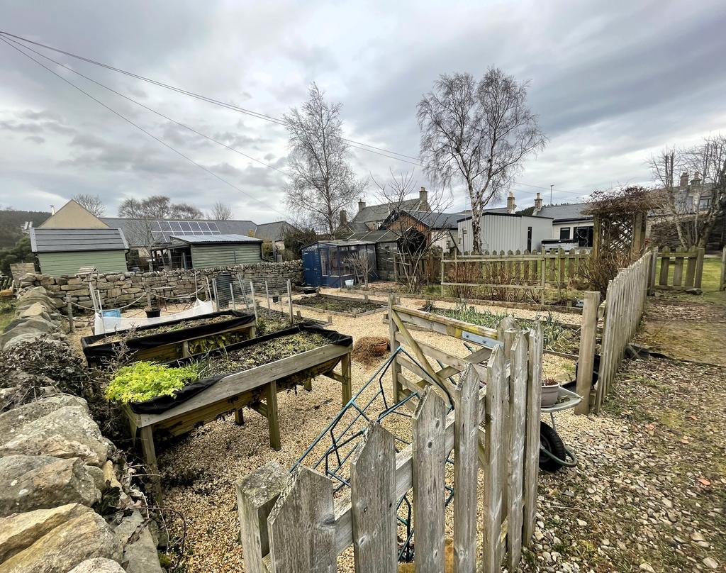 Garden .JPG