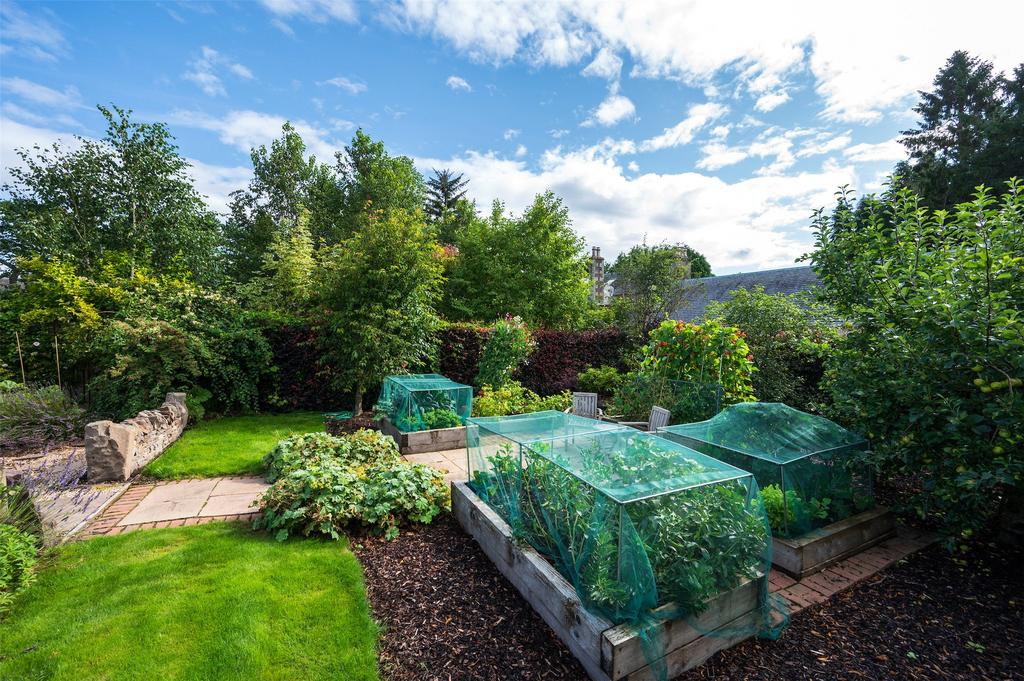 Raised Beds