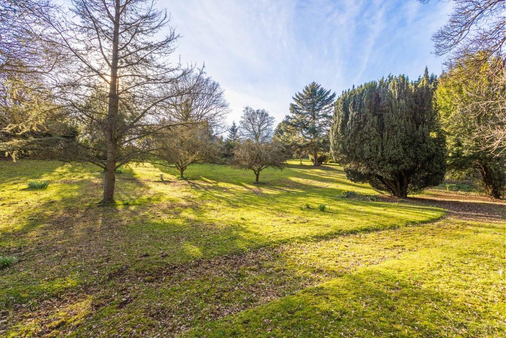 Extensive Grounds
