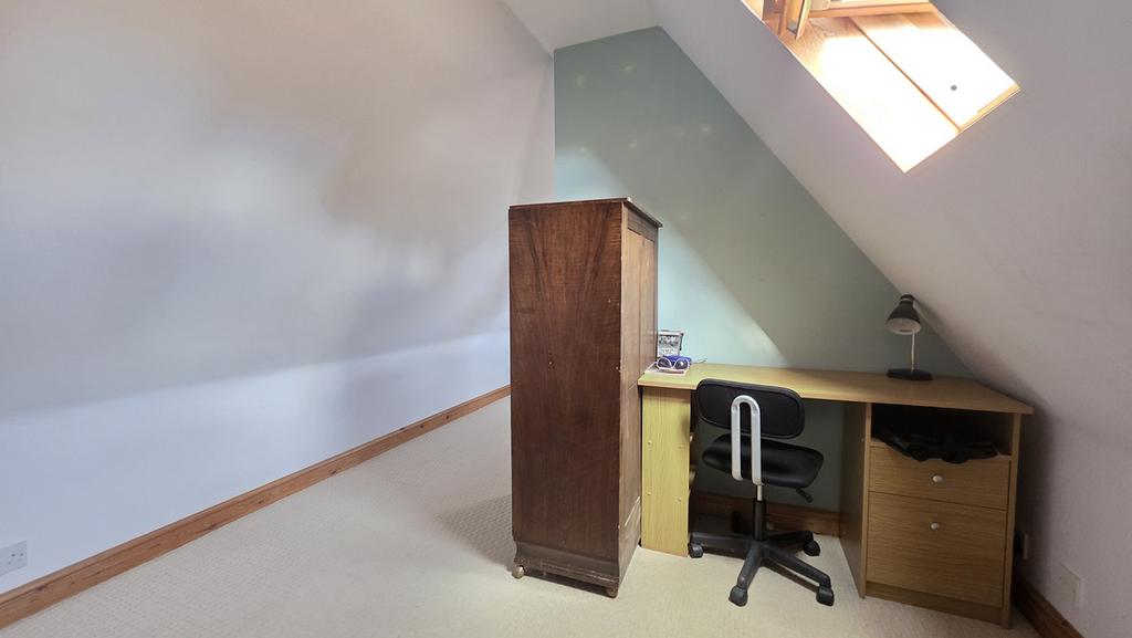 Study Area