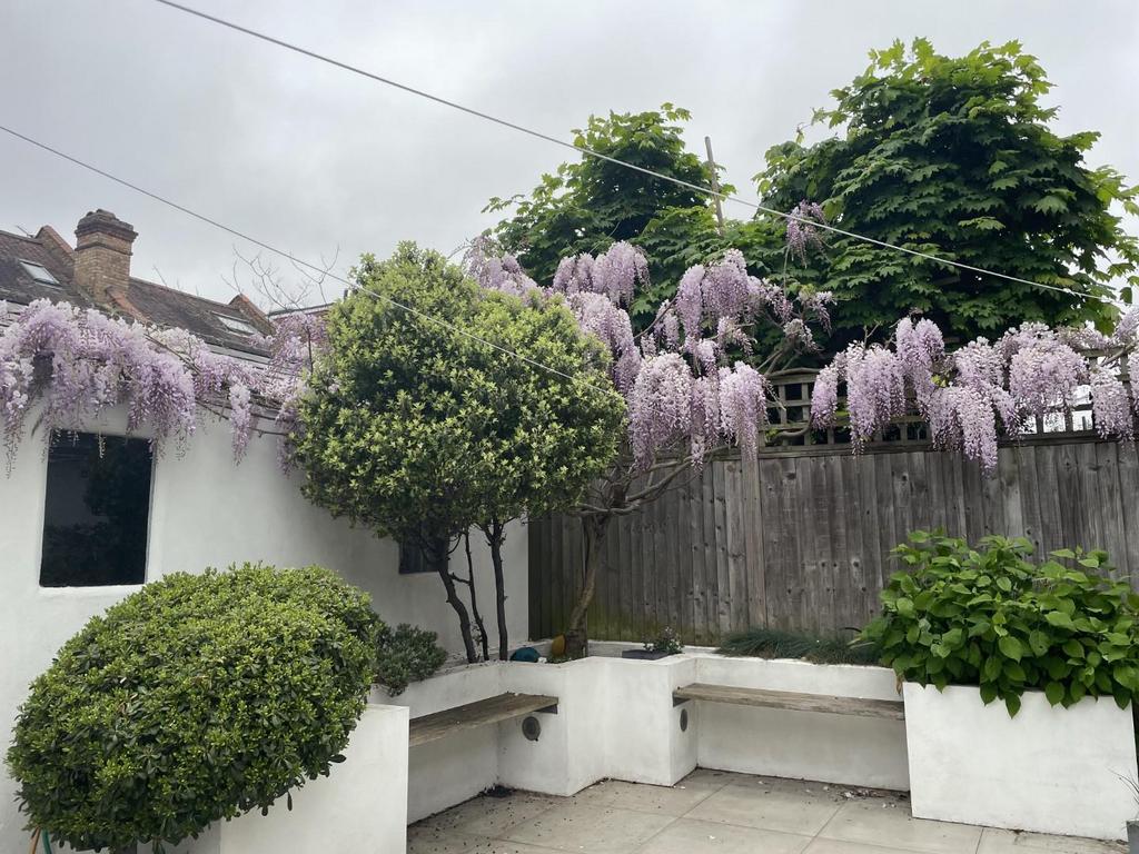 Garden.jpg