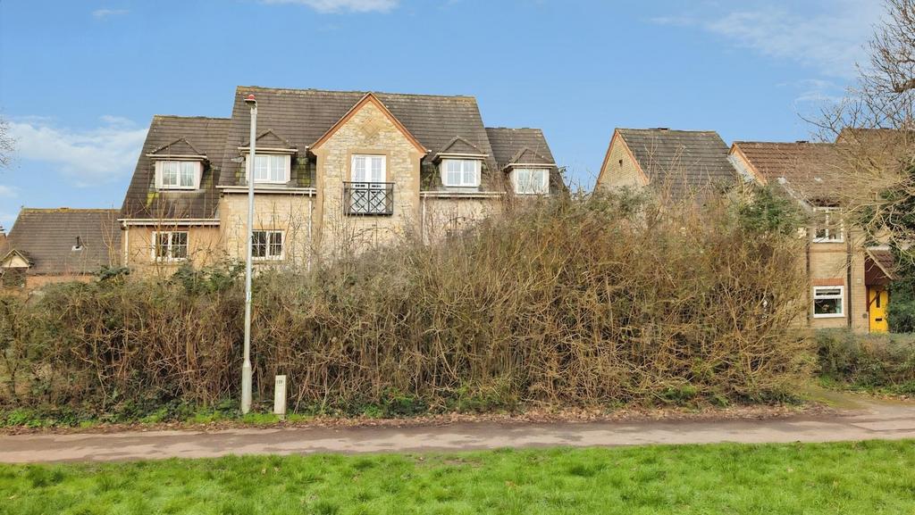 24 Hayleaze front shot a.jpg