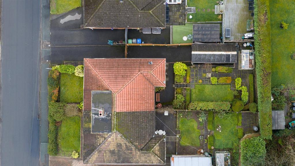 DJI 20260227184011 0059 D.jpg