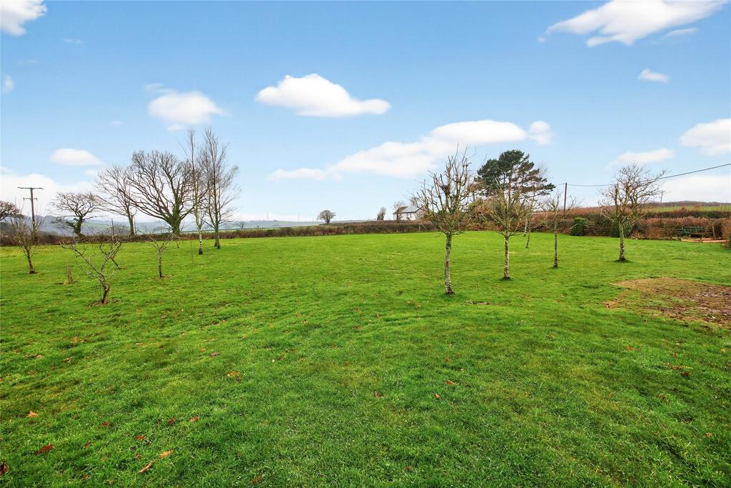Field