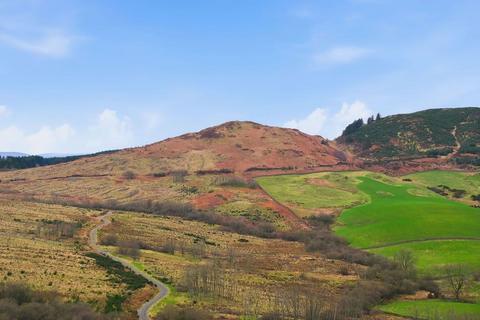 undefined, Dungarry Hill Plantation, Auchencairn, Castle Douglas DG7