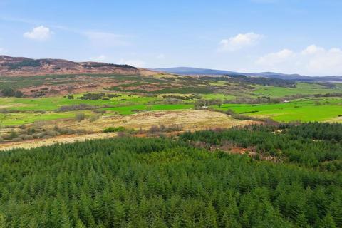 undefined, Dungarry Hill Plantation, Auchencairn, Castle Douglas DG7