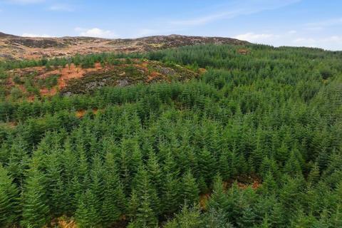 undefined, Dungarry Hill Plantation, Auchencairn, Castle Douglas DG7