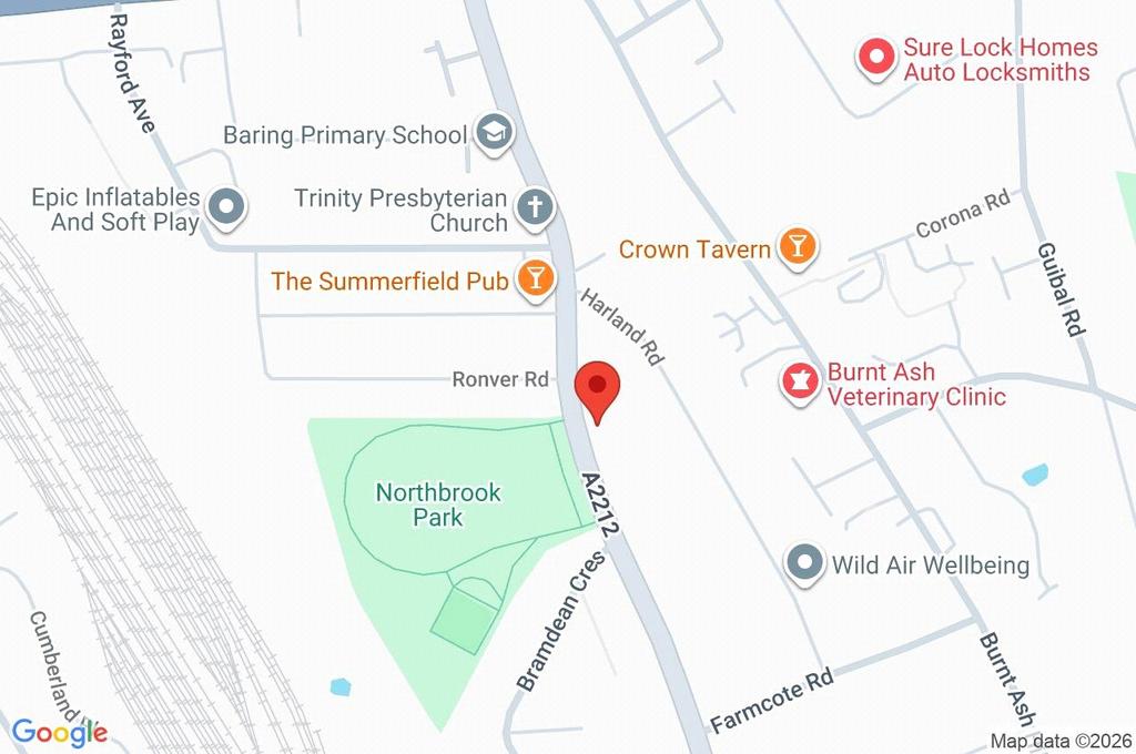 Google Maps Image