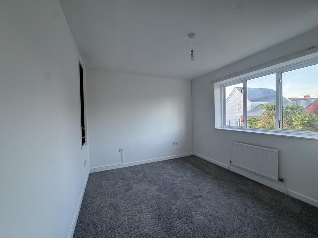 Img 2502