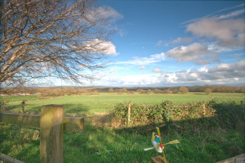 Photograph 11