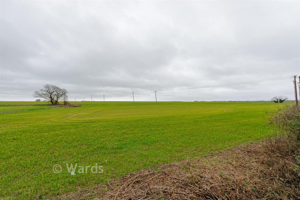 Surrounding Area