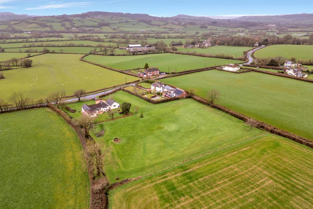 Drone View