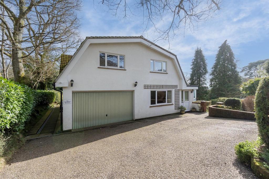 Driveway and Garage