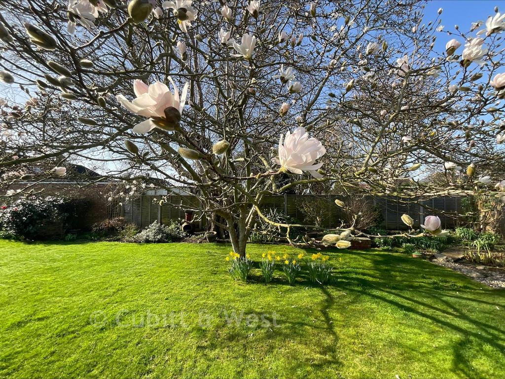 Garden 2