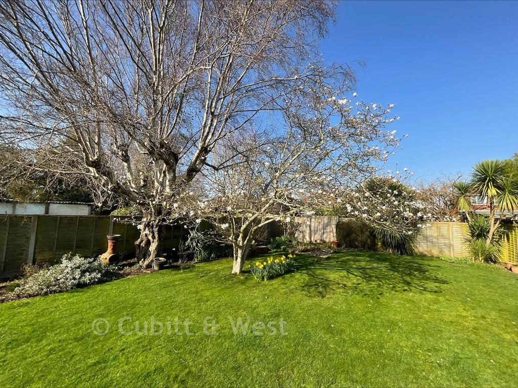 Garden 4