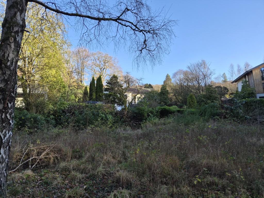 The site