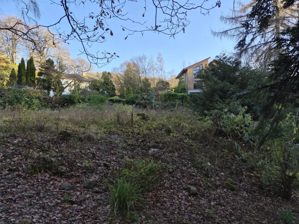 The site