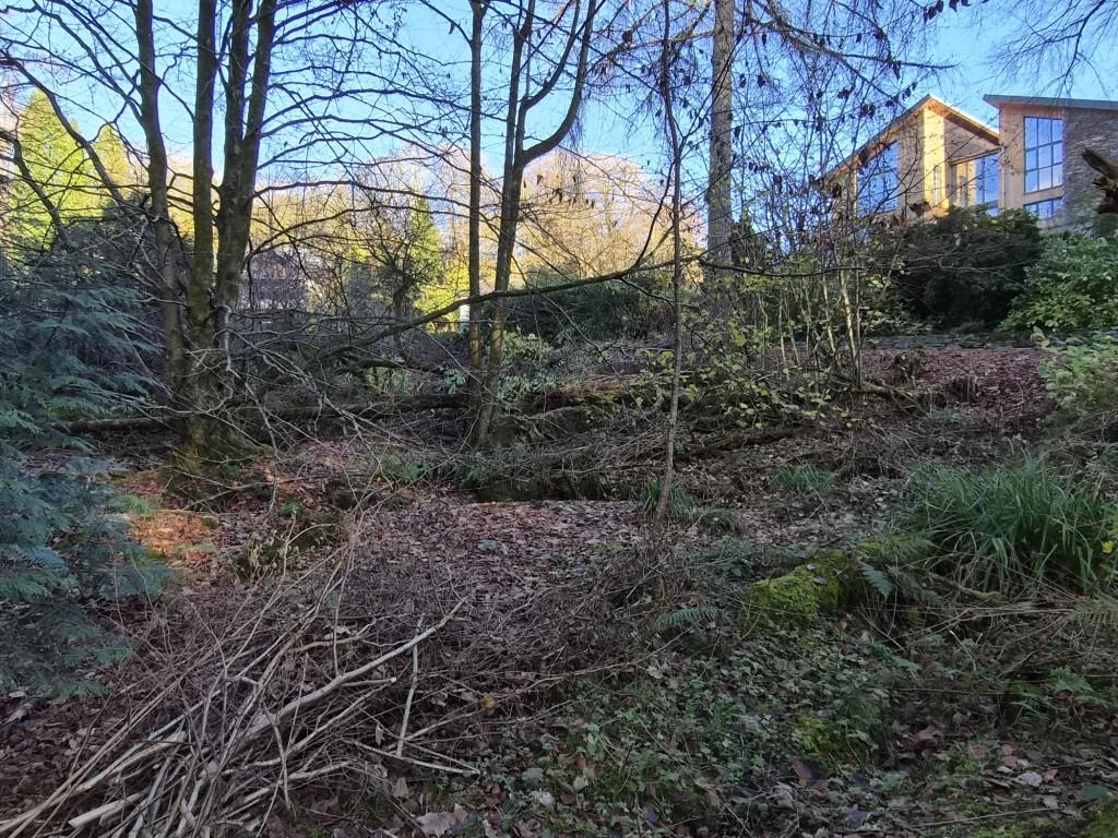 The site