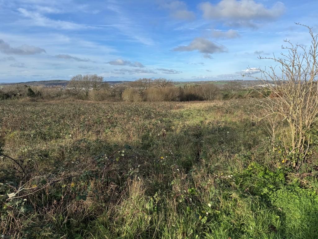 View of land from access road