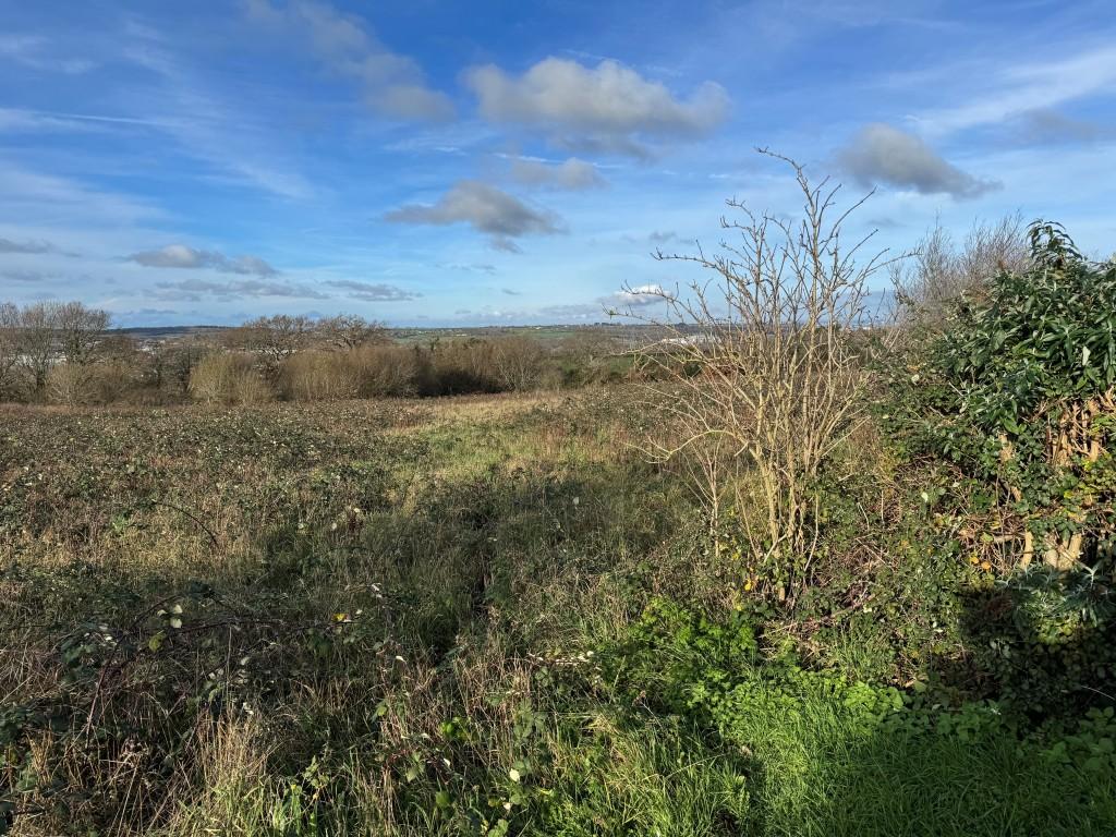 View of land from access road