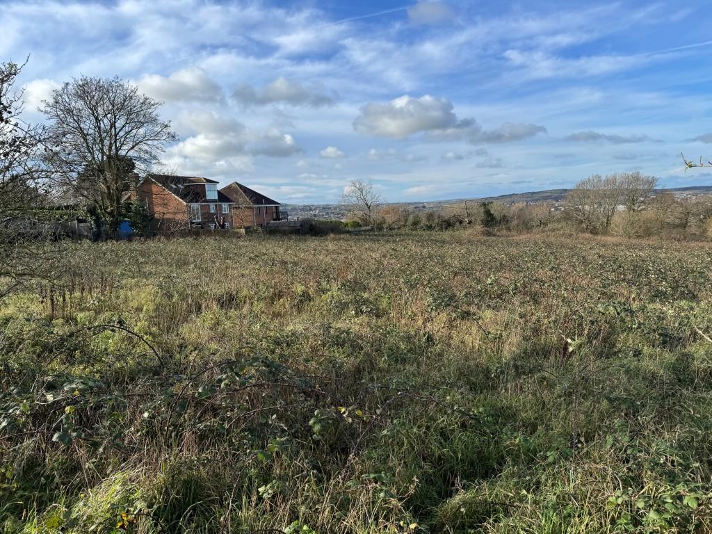 Looking back towards rear of Staplers Road