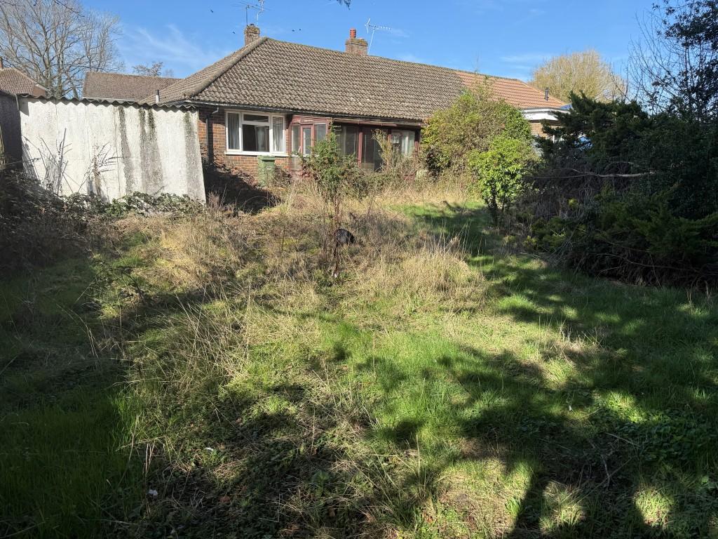 Overgrown rear garden with trees and shrubs
