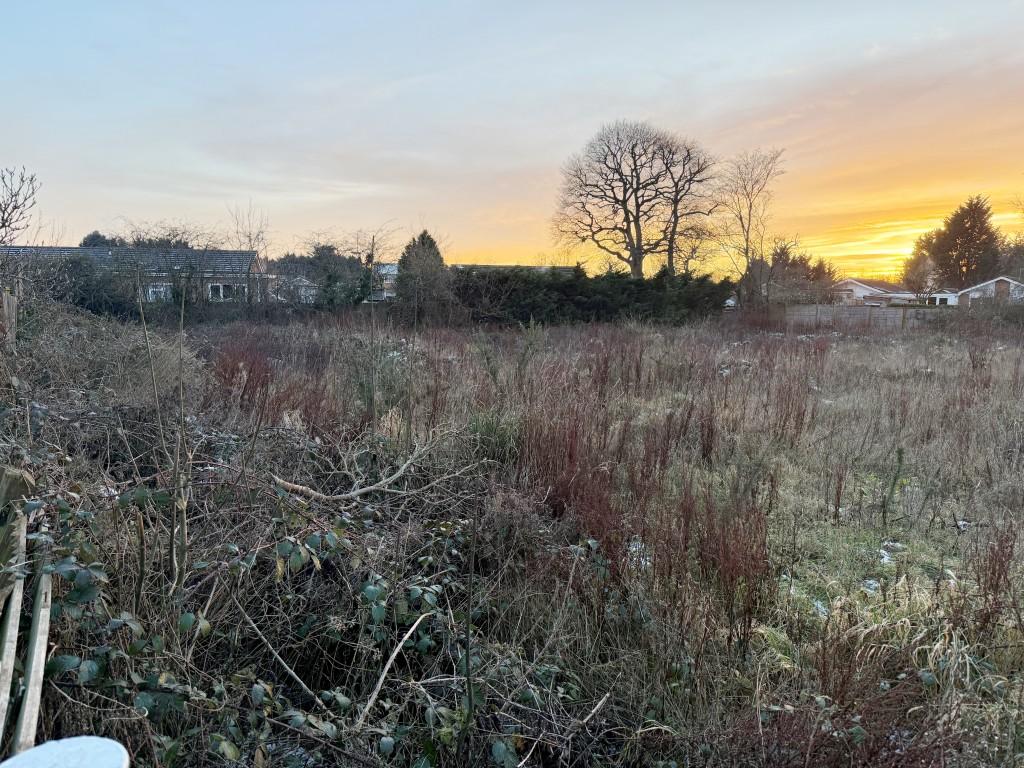 View of land from Hayes Walk