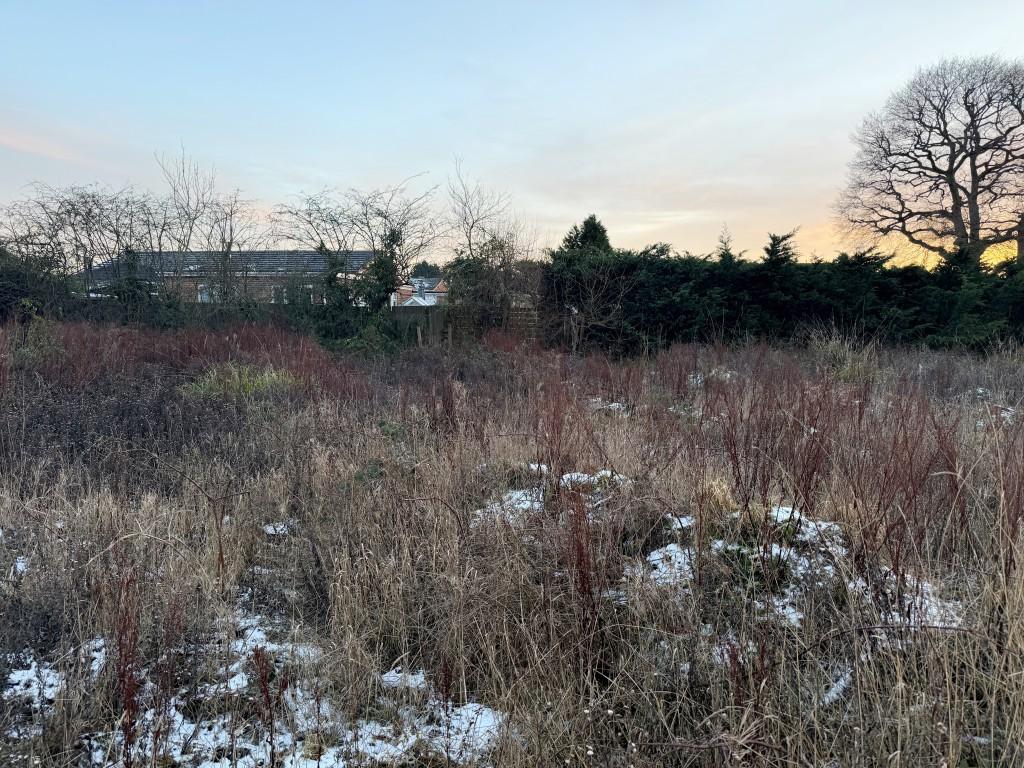 View of land from east 2