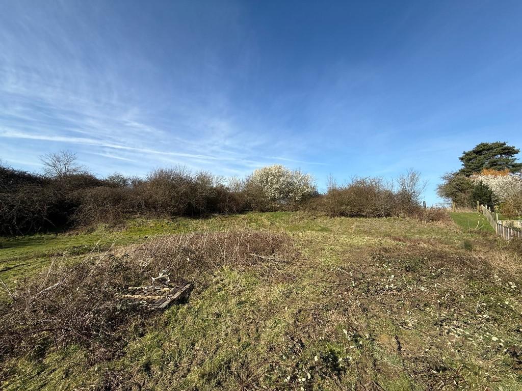 View of land