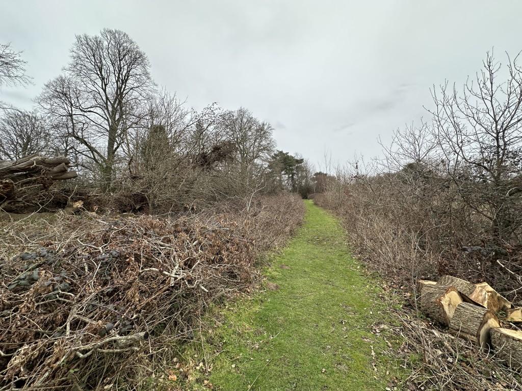 Freehold Site