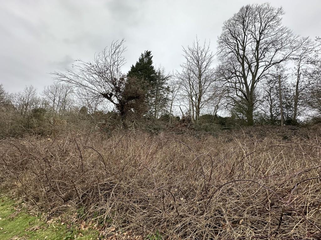 Freehold Site