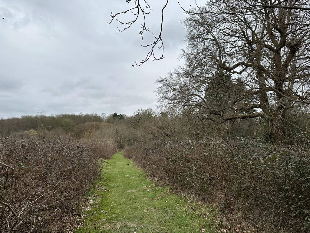 Freehold Site