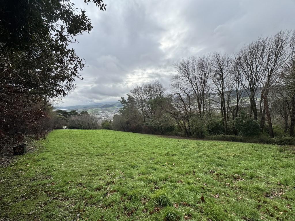 Field view with view in the background