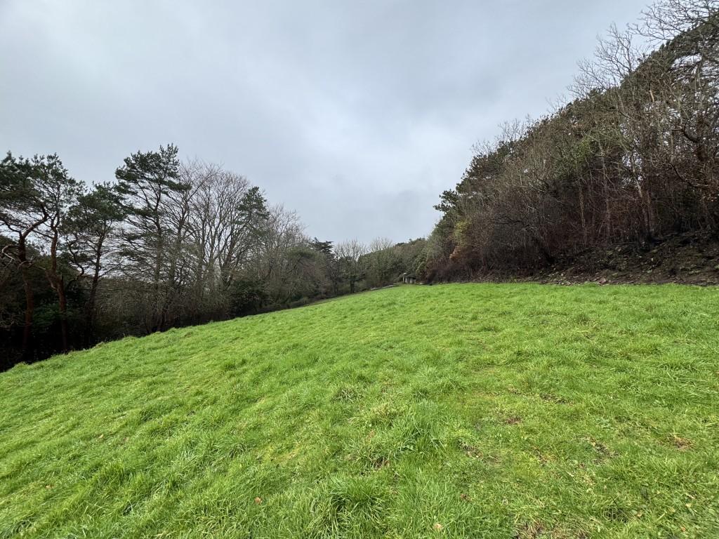 Looking up the field