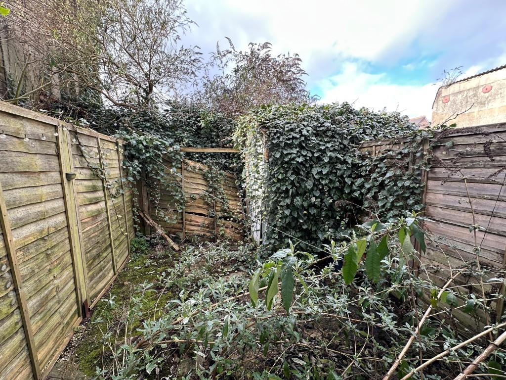 Back Garden