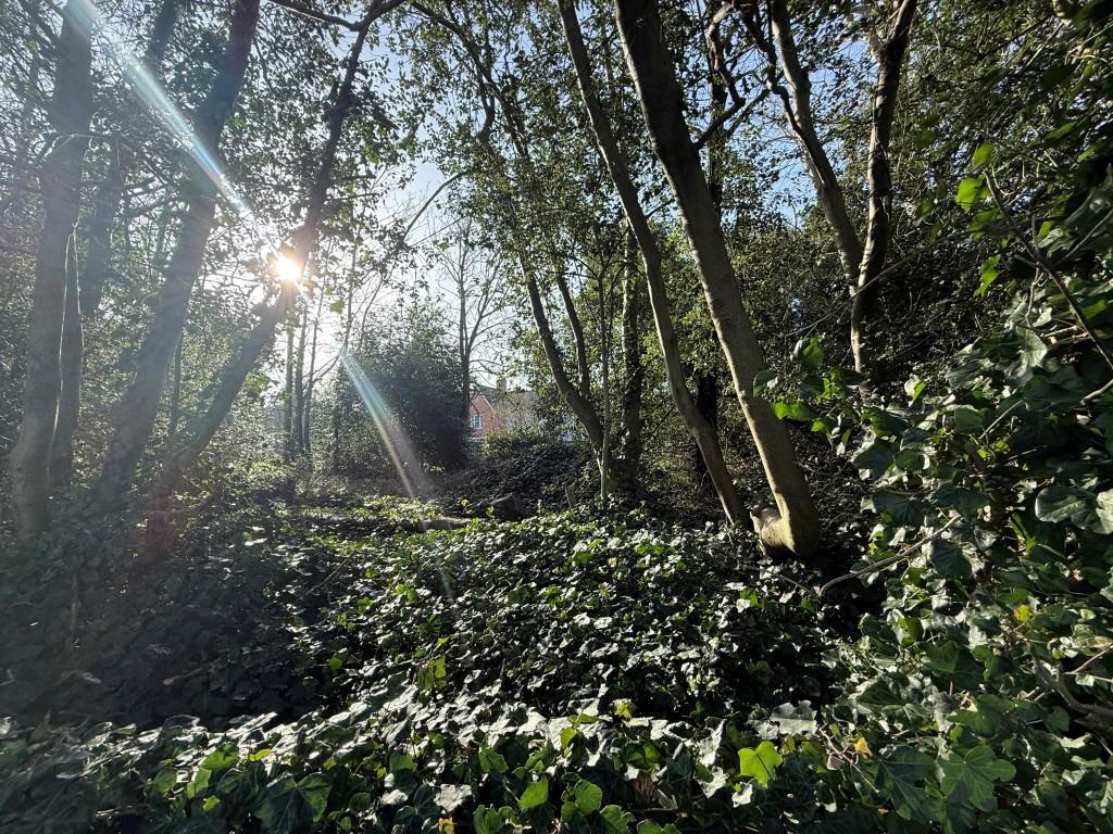 Shot from above wall showing overgrown land