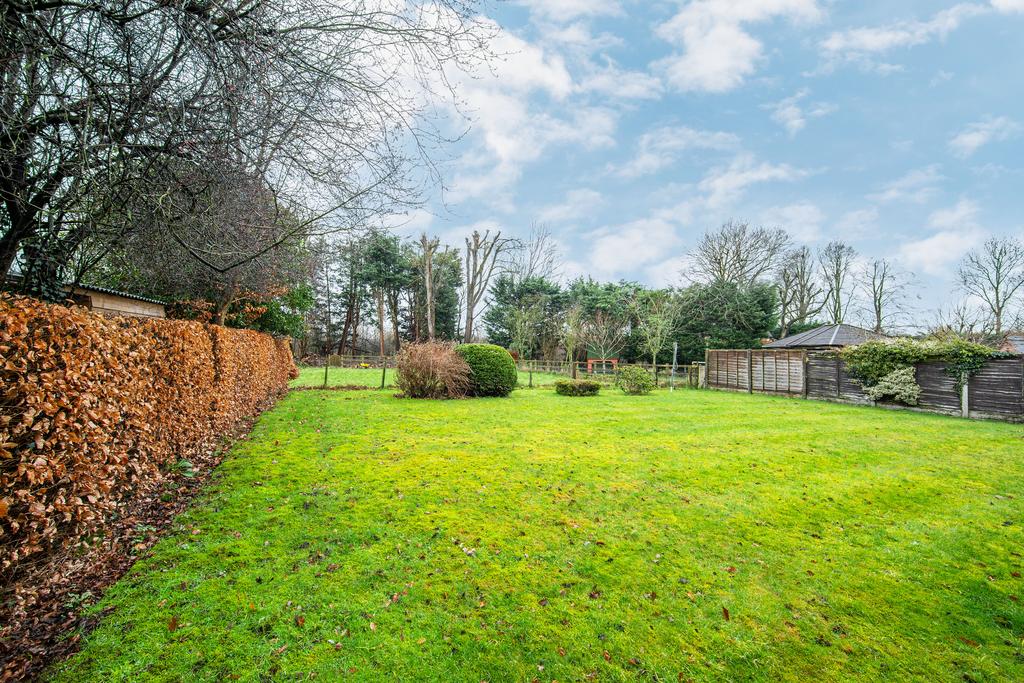 Garden 02 T202602111154.jpg
