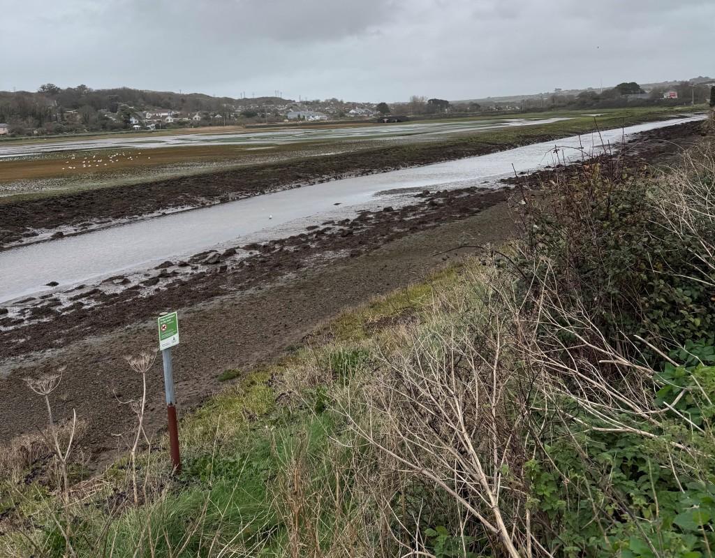 View from grass verge over Estuary
